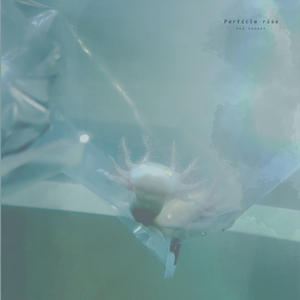 龙腾视频之插逼视频免费视频
