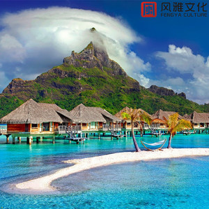 龙腾视频之插逼视频免费视频
