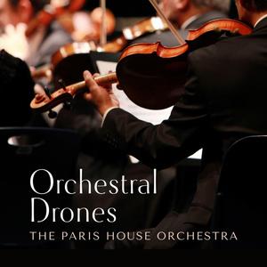 龙腾视频之插逼视频免费视频
